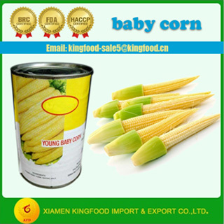 400g canned white kidney beans brand canned kidney beans