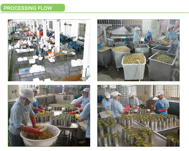 400G Canned straw mushroom in tin