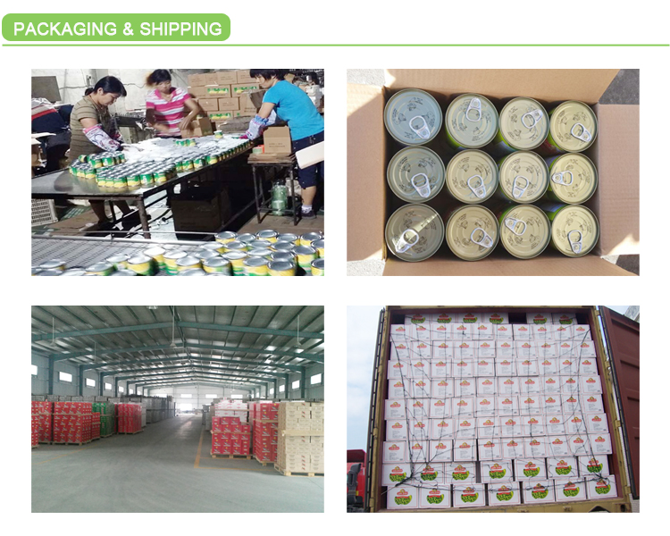 400G Canned straw mushroom in tin