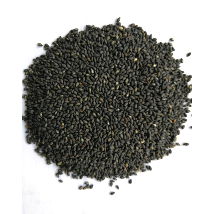 Wholesales High quality 1kg Chinese Roasted Nature sesame seeds White Sesame seeds for Sushi
