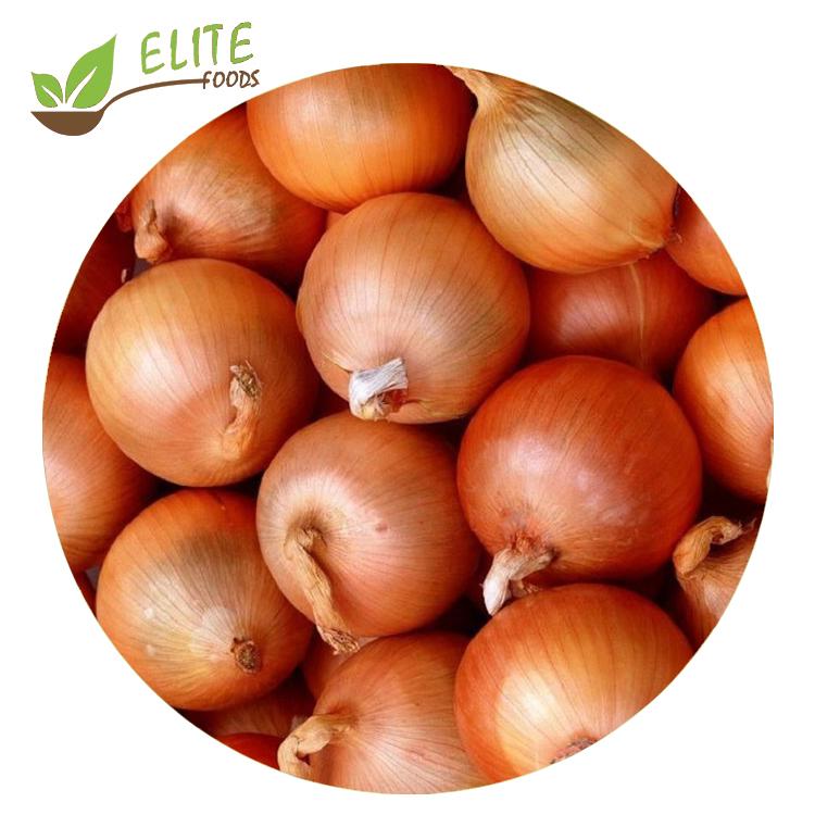China 2020 new crop season Fresh Red/Yellow Onions wholesale Price