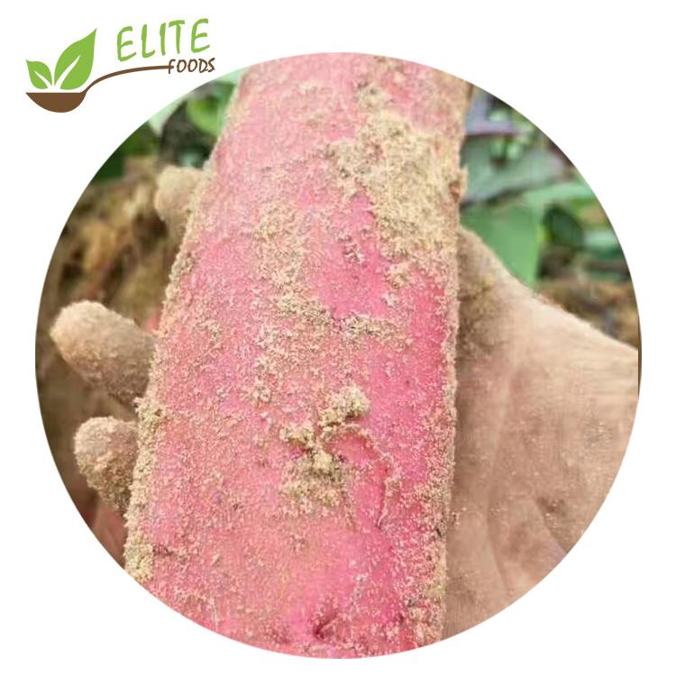 IQF Frozen Honey sweet frozen roasted  Sweet Potato Suppliers Processors Manufacturers with wholesale price