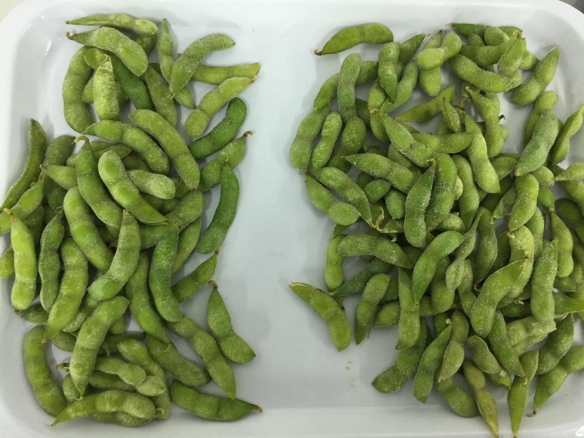 Frozen Edamame IQF Soya Beans with pods