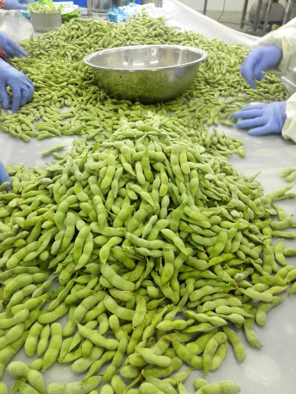 Frozen Edamame IQF Soya Beans with pods