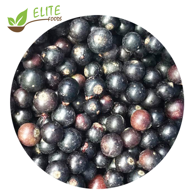 New Season IQF Blackcurrant