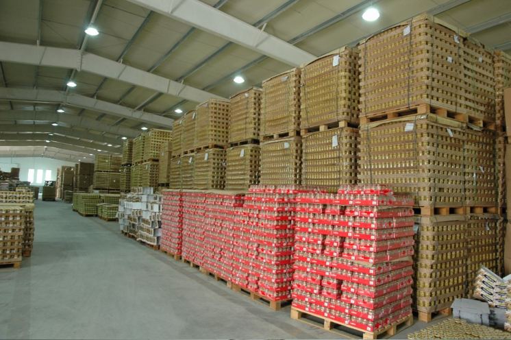 IQF frozen bulk edamame beans frozen soybean frozen edamame beans new crop