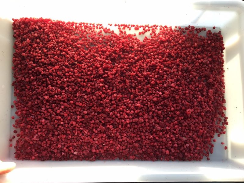 new season good price Frozen Raspberry Crumbled IQF Raspberry Crisp