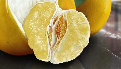 China fresh honey pomelo iqf green hami melon balls
