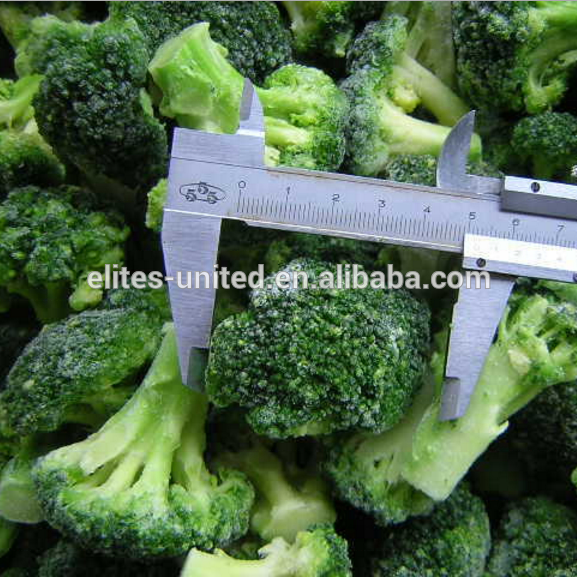 New Crop Frozen Broccoli Organic IQF Broccoli Cuts with Good Price