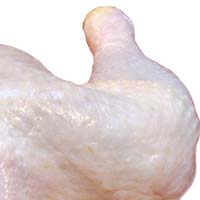 Premium Halal frozen chicken broiler at factory prices
