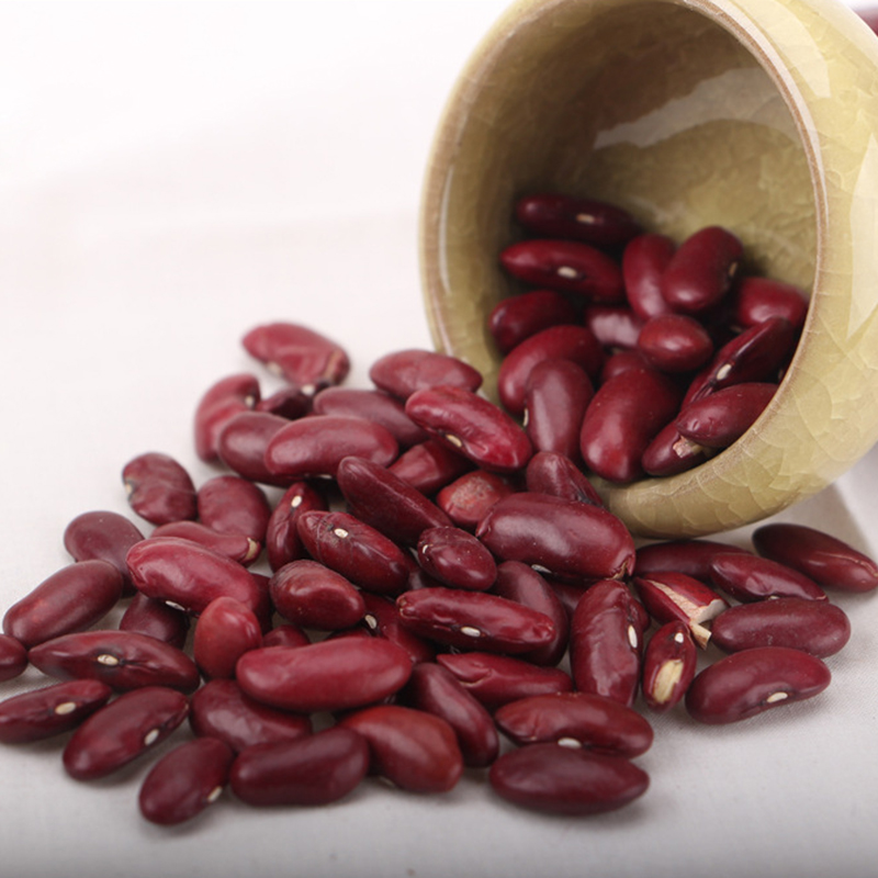 Quality Dried Dark Red Kidney Beans hot sales