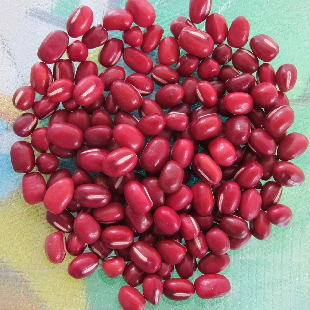 Dark Red kidney beans