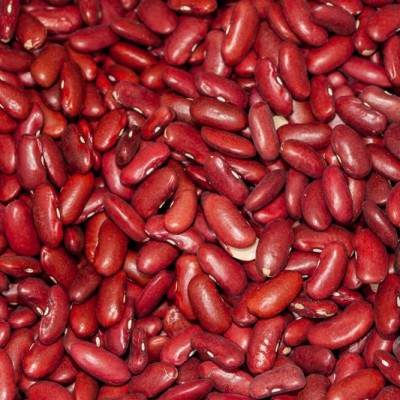 Quality Dried Dark Red Kidney Beans hot sales,Estonia price supplier ...