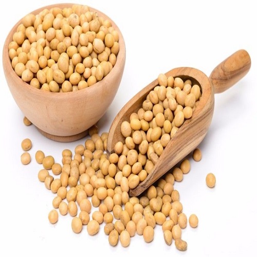 Non Gmo Soybean Seed - Buy 100% Pure Soy bean wholesale products,China ...