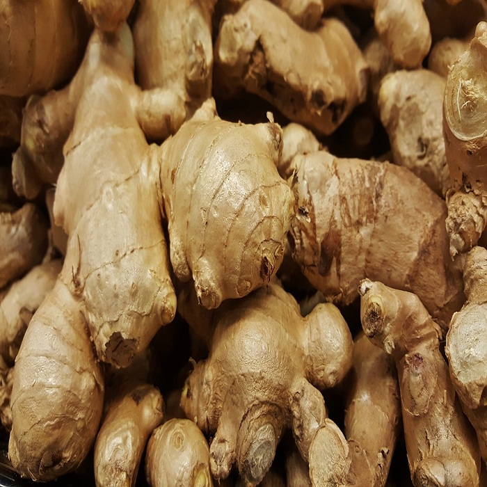 Wholesale cheap price fresh ginger from Brazil,China price supplier ...