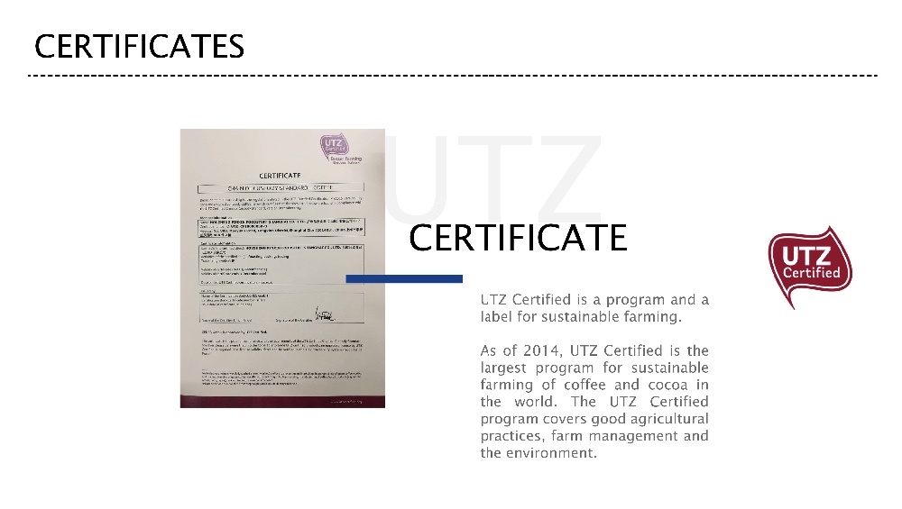 Green coffee beans Arabica Robusta coffee beans