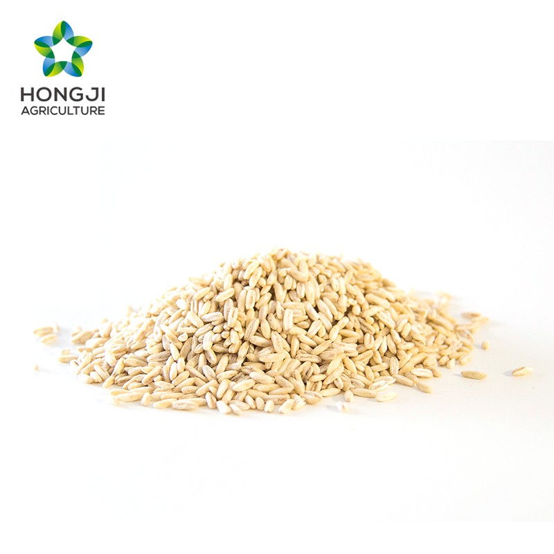 whole oat grains Oatmeal without shell