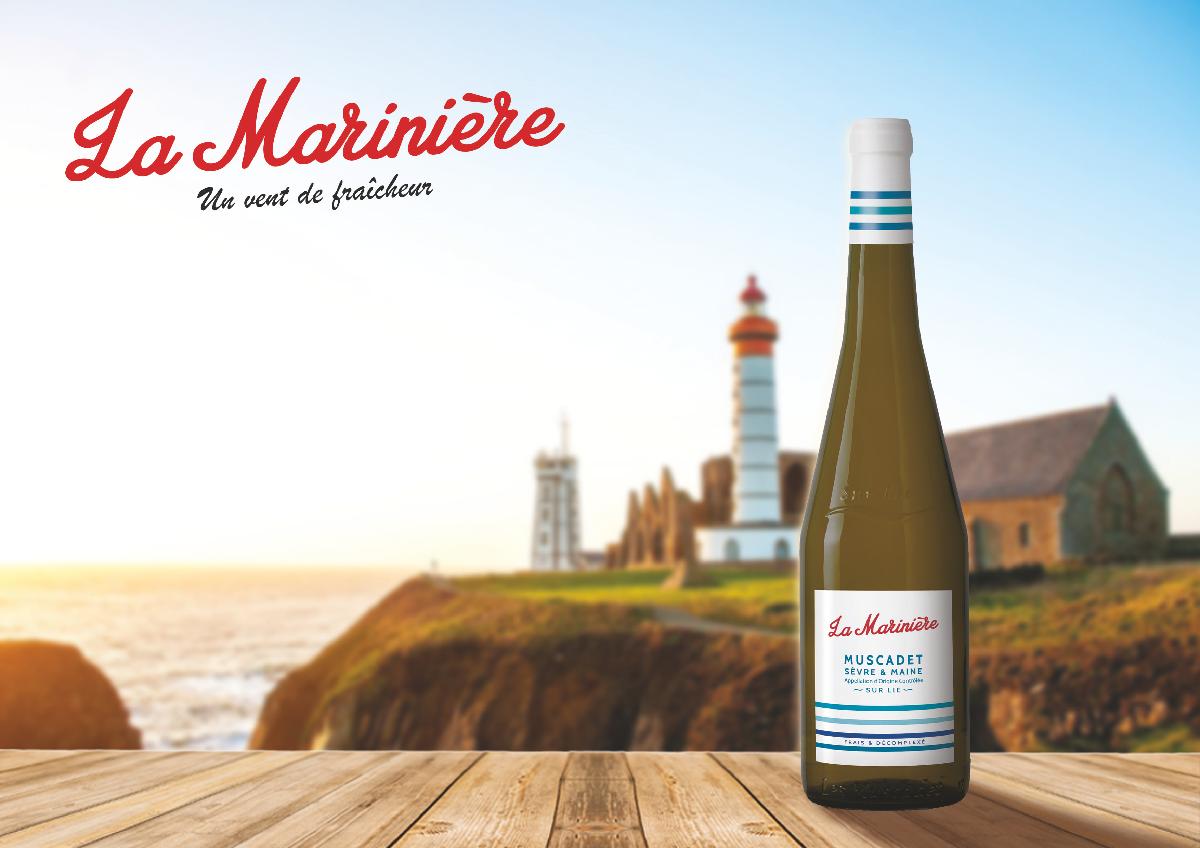 Muscadet sevre maine sur lie