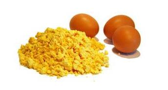 Food grade rich tastey egg powder