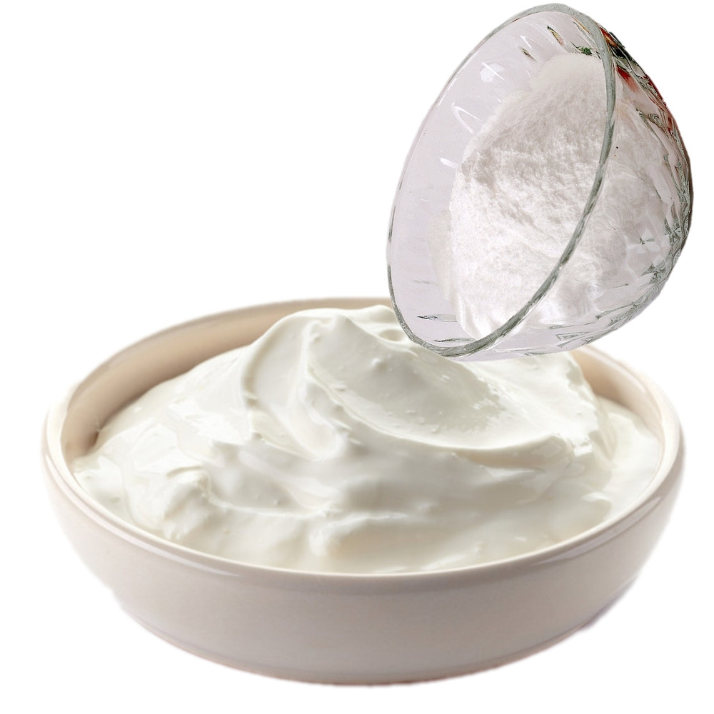 yoghurt milk powder vegan