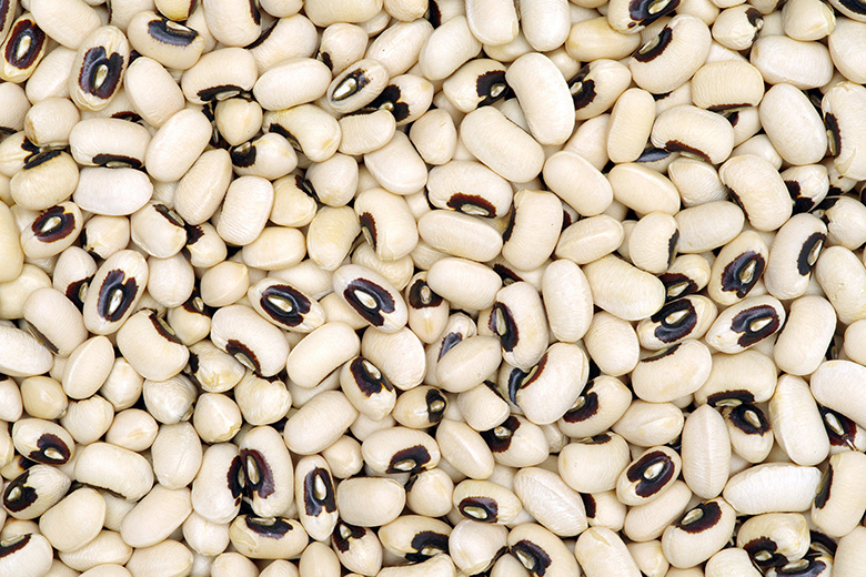 Black Eye White Beans Export Quality,Brazil OEM price supplier 21food