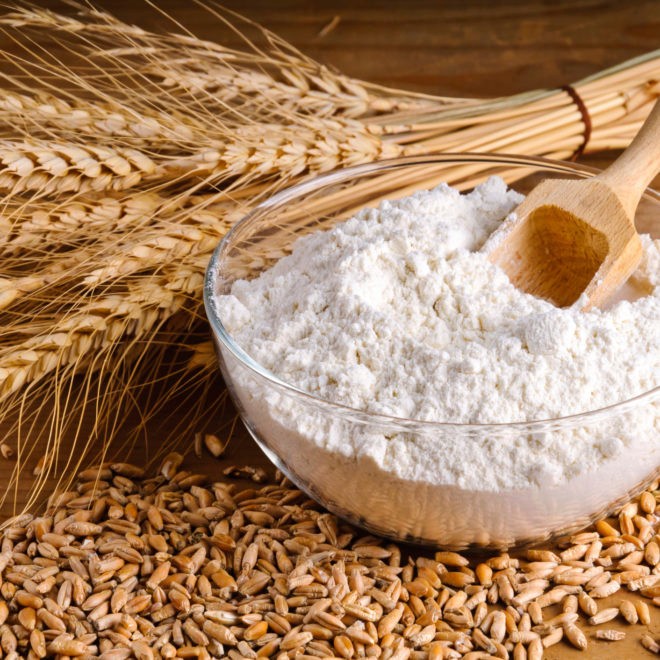 Best Price High Quality Wheat Flour Sale in Bulk or Bags