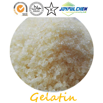gelatin powder supplier