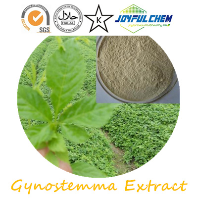 Gynostemma Extract Jiaogulan extract Gypenosides 20~98