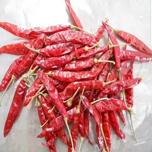 HOT PRICE DRY CHILLI PADI VIETNAM PHU HAI MINH,Vietnam PHU HAI MINH CO ...