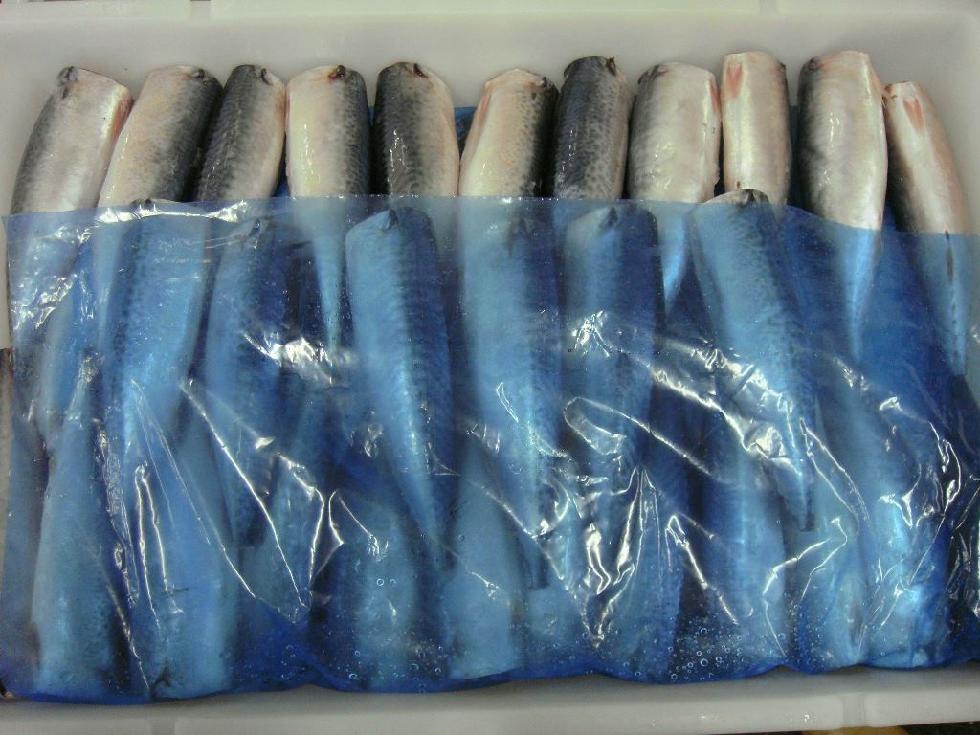 Лучшие бренды китайской замороженной рыбы скумбрия hgt для консервов
