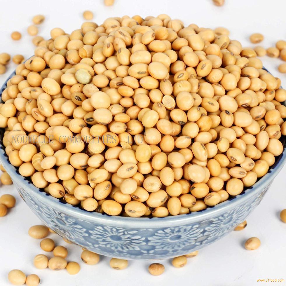 soya bean soya bean