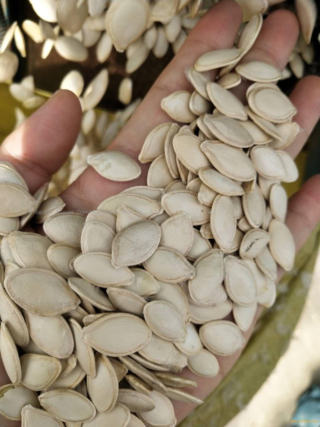 gord seeds