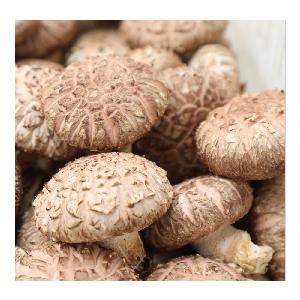 Fresh Straw Mushrooms, At the Graham Street Market in Hong …