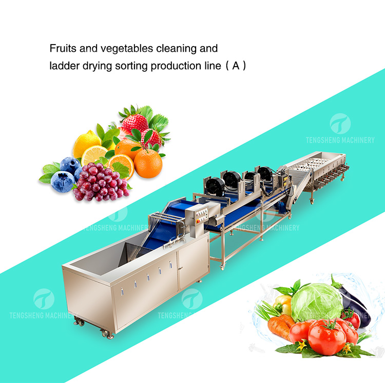 Big Fruit and Vegetable Drying Machine Manufacturer China