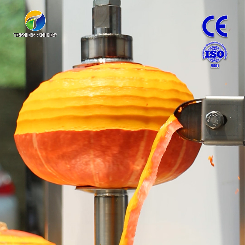 Commercial Pumpkin Peeler/Squash Peeling Machine/ Butternuts Peeling Machine  - China White Gourd Peeler Machine, Gourd Removing Skin Peeling Machine