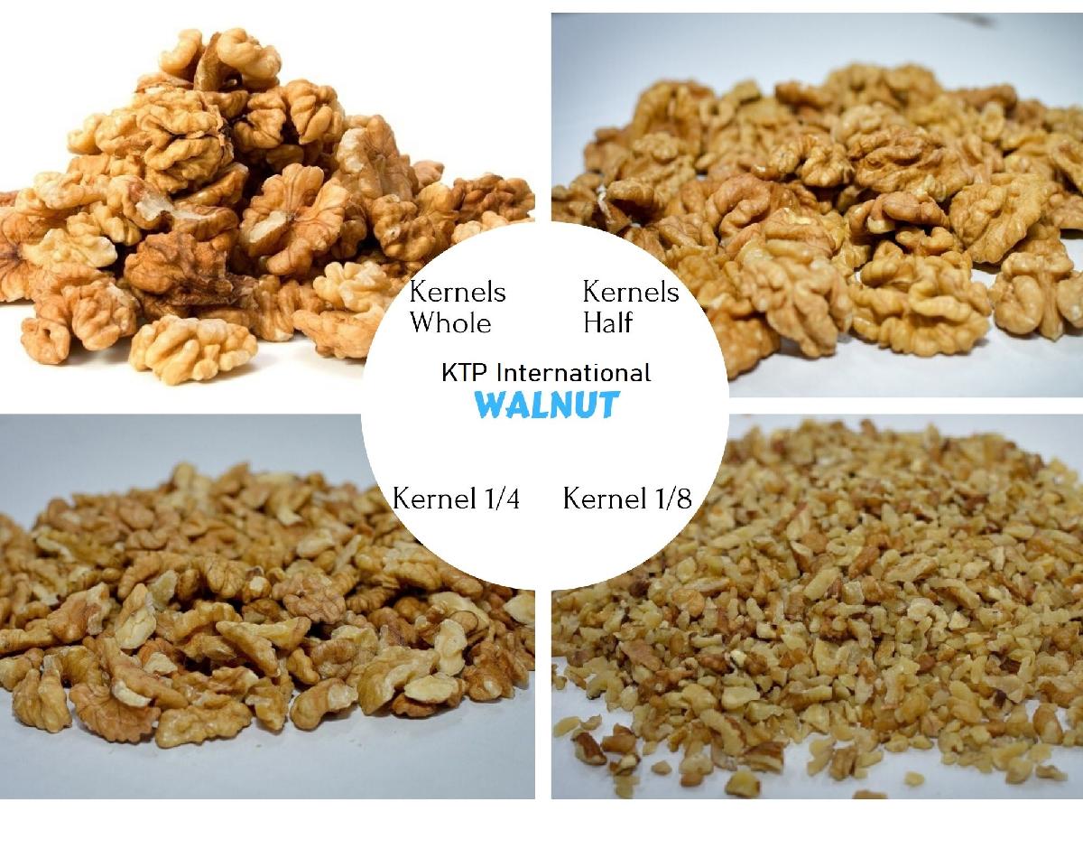 walnut-india-price-supplier-21food