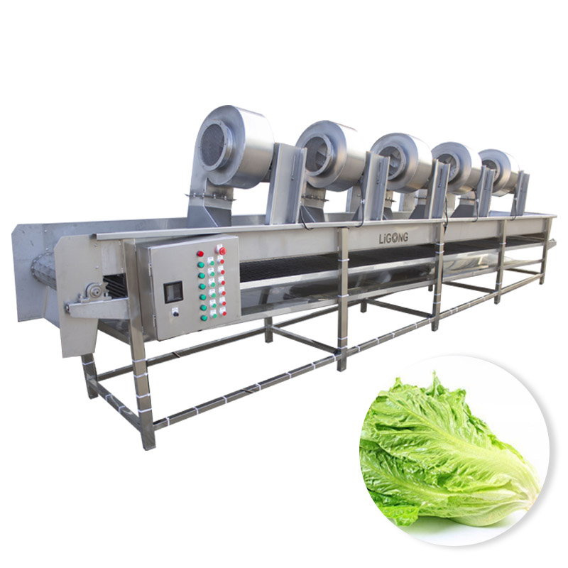 Air Dryer Machine For Fruit and Vegetable