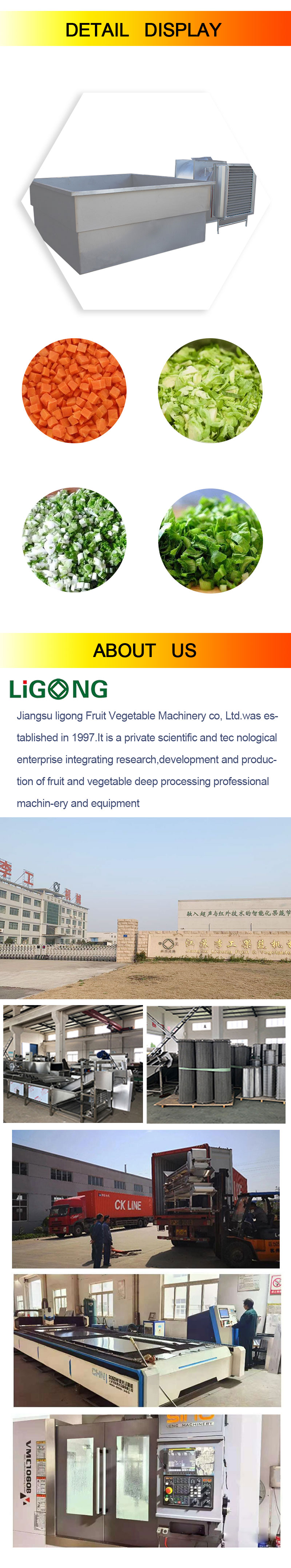 Li Gong automatic box dryer machine use conveyor mesh belt dryer to dry Small Food Dehydrator Box Dr
