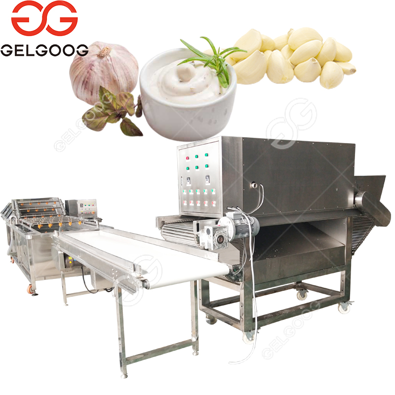 Stainless Steel Ginger Garlic Grinding Machine LGJMS-180 Model