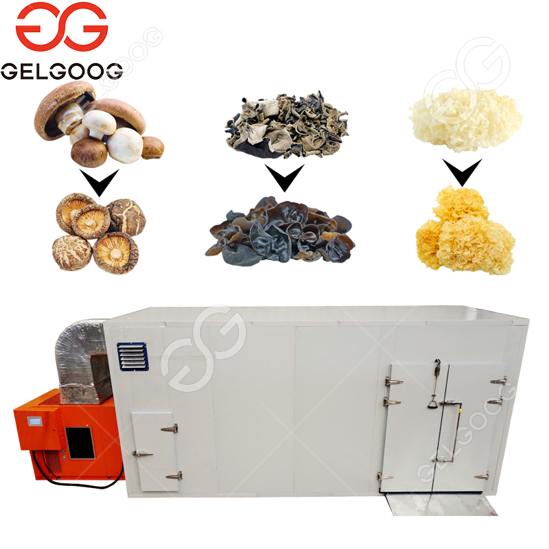 Industrial Mushroom Dryer Dehydrator Oyster Mushroom Drying Machine