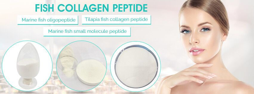 Hydrolyzed Marine Fish collagen peptide,China HUAYAN price supplier ...