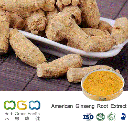 American Ginseng (Root) Extract with Ginsenosides 5-60% Herb Herbal