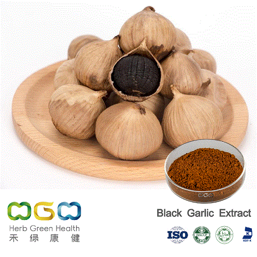 Natural Plant Extract Ferment Black Garlic Herb Herbal
