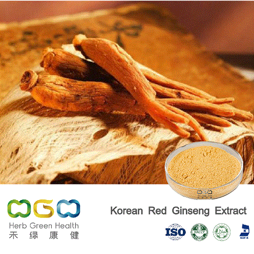 Natural Plant Extract Korean Red Ginseng Extract with Total Saponins 5%-20% Herb Herbal