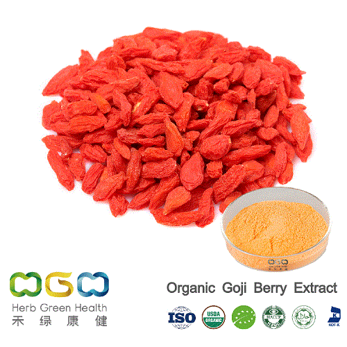 Organic  Goji  Berry / Wolfberry Extract for Eye Sight Protection Herb  Herbal 
