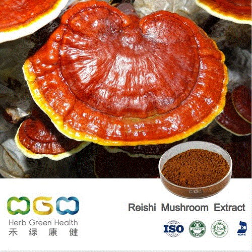 Natural Plant Extract Organic Reishi Mushroom / Ganderma Extract with β -Glucan Herb Herbal