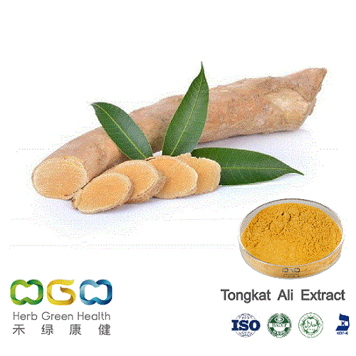 Natural Plant Extract Tongkat Ali Root for Sexual Function Herb Herbal ...