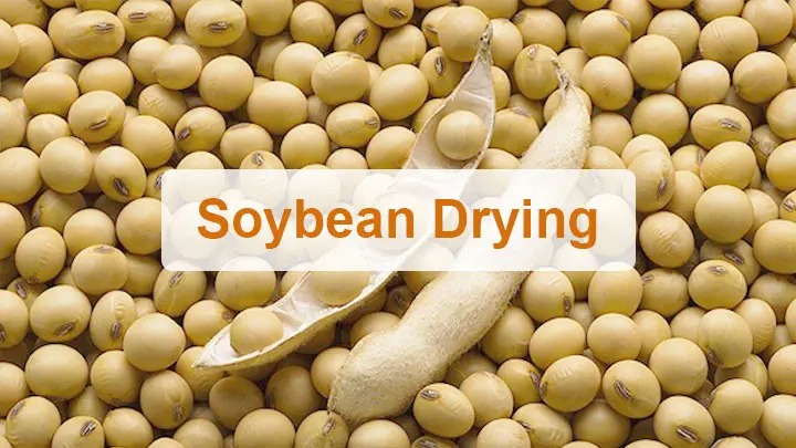 Soybean drying machine | Cereal dryer