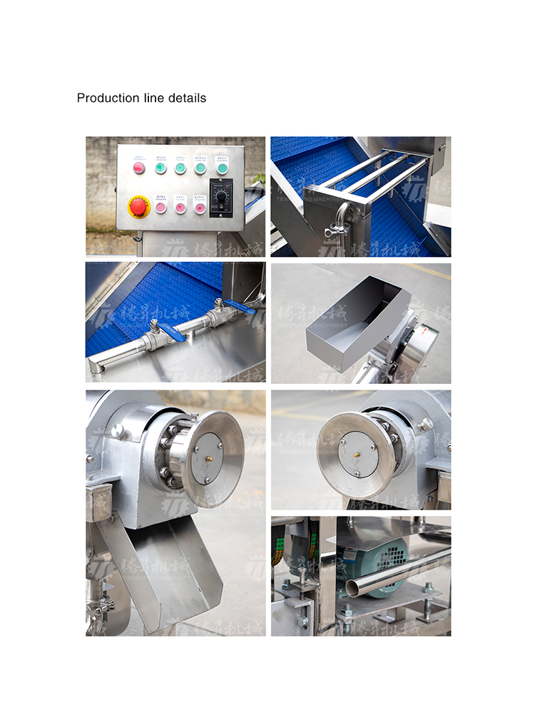 Automatic Vegetable Carrot Washing and Juicing Machine Production Line