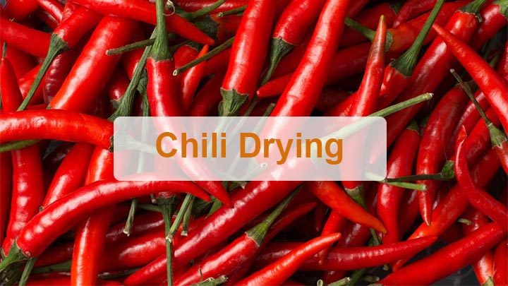 Chili dryer | Pepper drying equipment | Chili powder drying machine ...